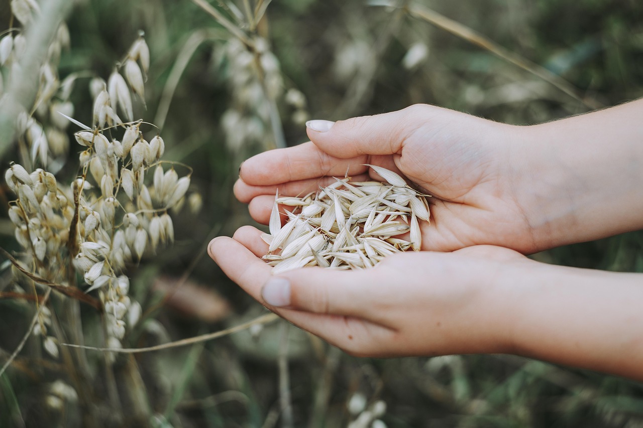 Nutri Define: Crafting Your Personalized Nutrition Blueprint