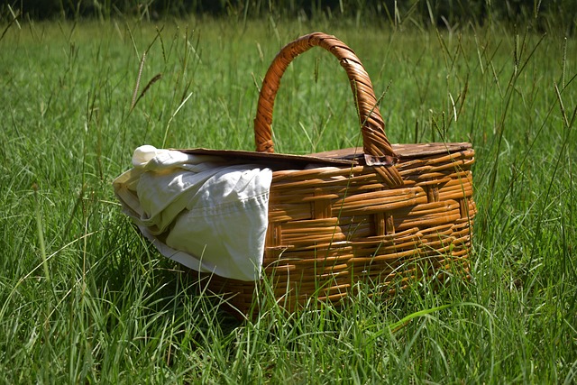 A picnic basket filled with sturdy, well-packed containers of food, alongside a cooler bag and a picnic blanket. (best picnic recipes)